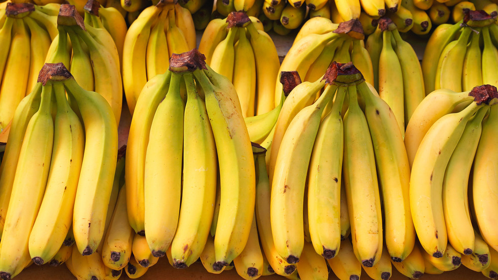 Elkészült a banán teszt: megdöbbentően magas a vizsgált gyümölcsök káliumtartalma