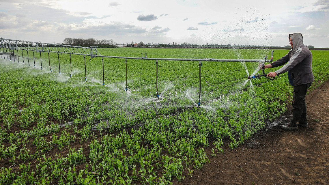 Jó hír a mezőgazdasági termelőknek: egy hónapig ingyenes a víz