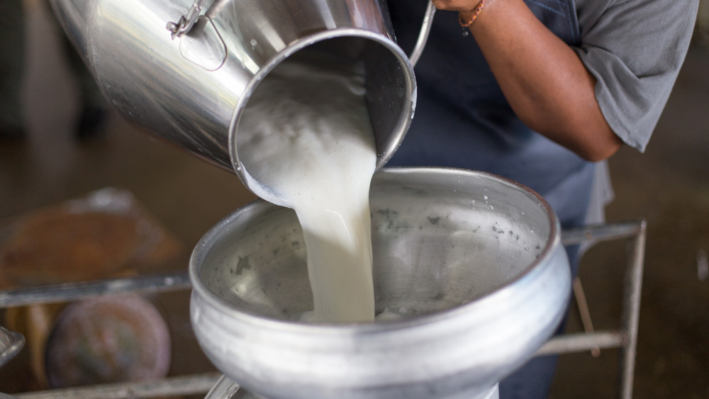 Milliárdos befektetés: tejfeldolgozó épül ebben a magyar városban