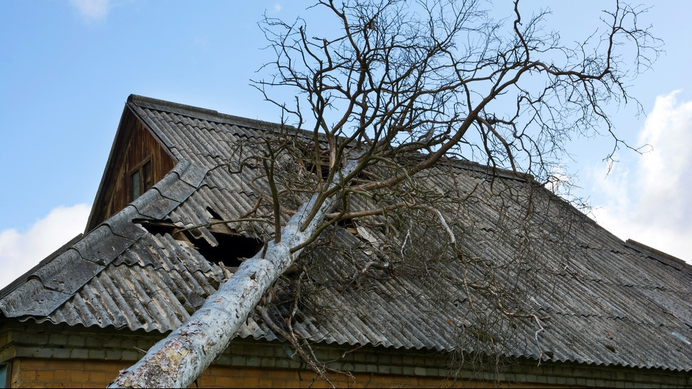 Megérkezett a vihar: óriási károkat okozott a tomboló szél Nógrád megyében