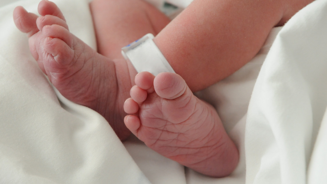 Fontos bejelentés érkezett: nem lehet a Mohácsi Kórházban szülni június elsejétől