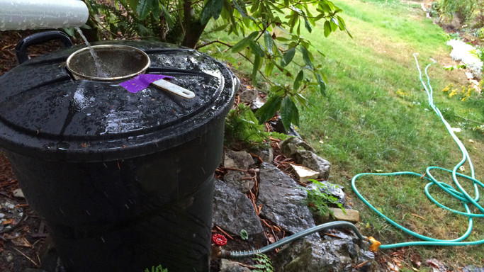 Ezzel a módszerrel ingyen locsolhatod a kerted: akkor is, ha épp vízkorlátozás van