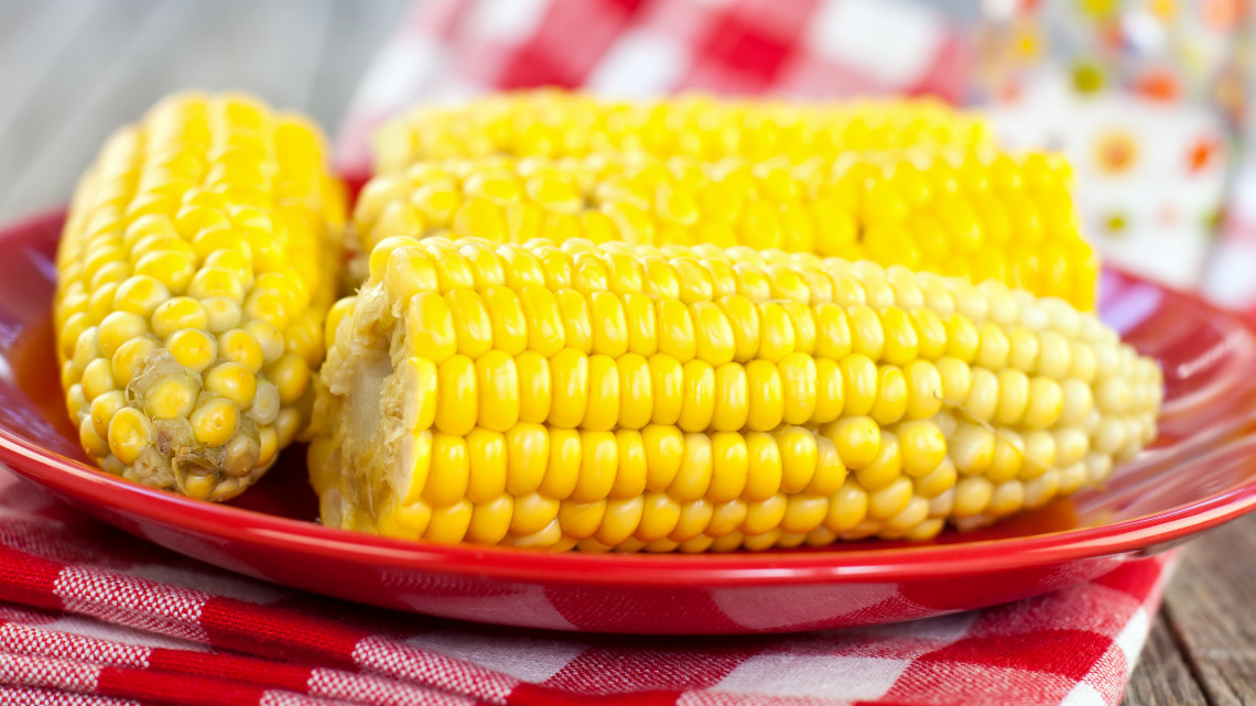 Főtt kukorica recept, a nyári szezon nagy kedvence: csemege kukorica főzés, hogyan készül a főtt kukorica?