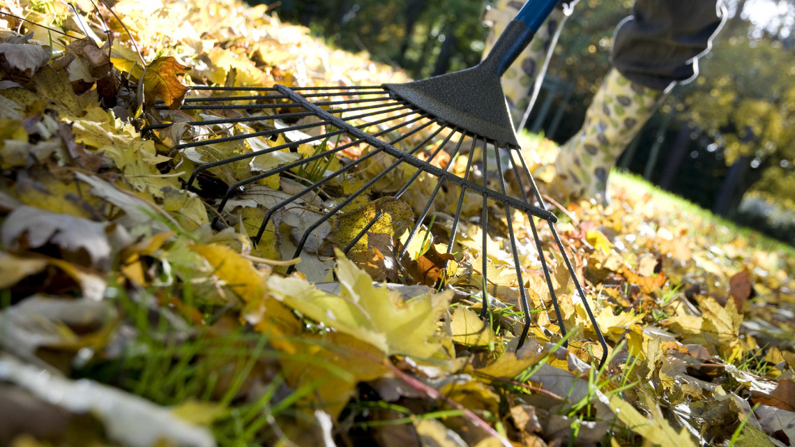 Ezek a legfontosabb kerti munkák októberben: itt a 7 pontos őszi feladatlista