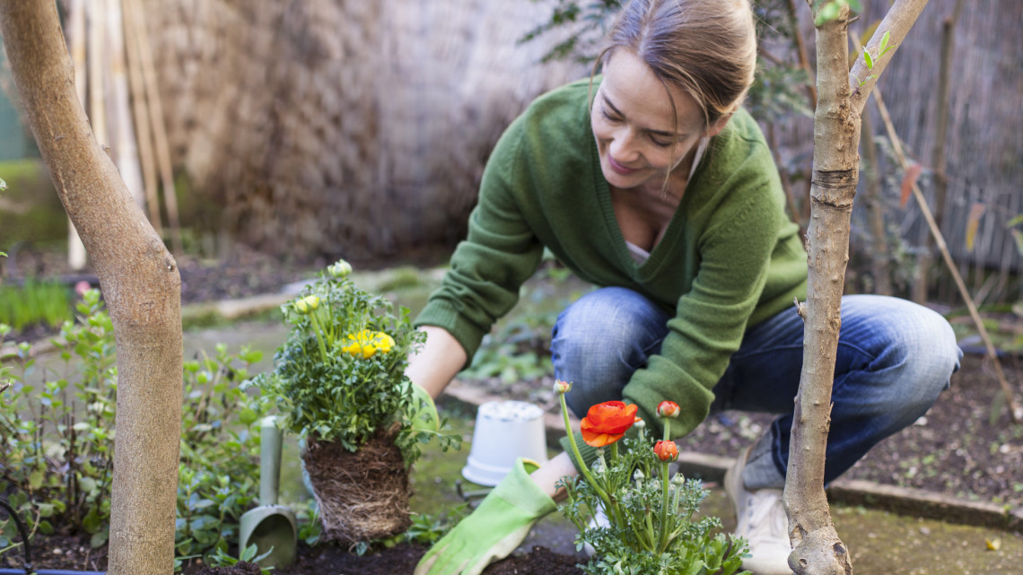 Ezek a legfontosabb kerti munkák áprilisban: itt a 9 pontos feladatlista