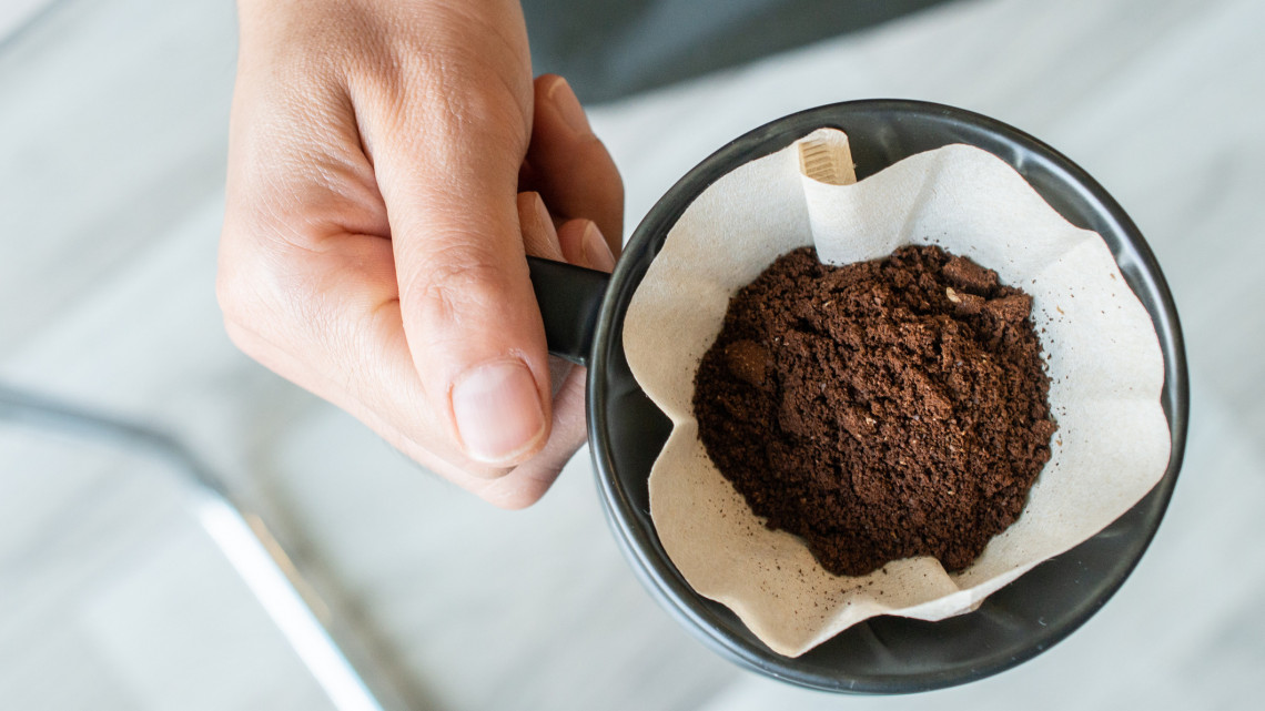 Mi mindenre jó a kávézacc? Tudd meg, miért jó a kávézacc a növényeknek, mi a kávézacc jóslás!