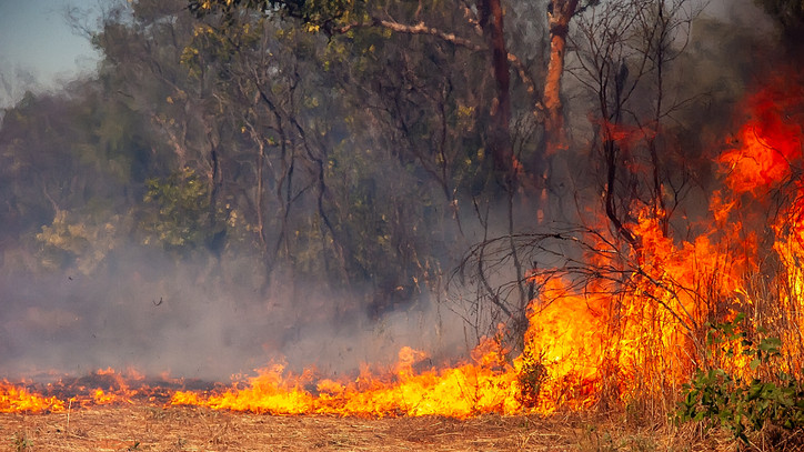 Hétfő óta ég a tájvédelmi körzet erdeje: azóta nem sikerül megfékezni a lángokat + fotók