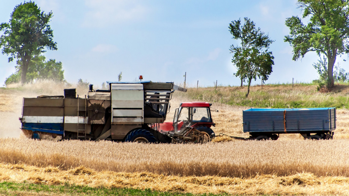 Elképesztő, mi zajlik a magyar gabonapiacon: ehhez jobb lesz, ha hozzászoknak a gazdák