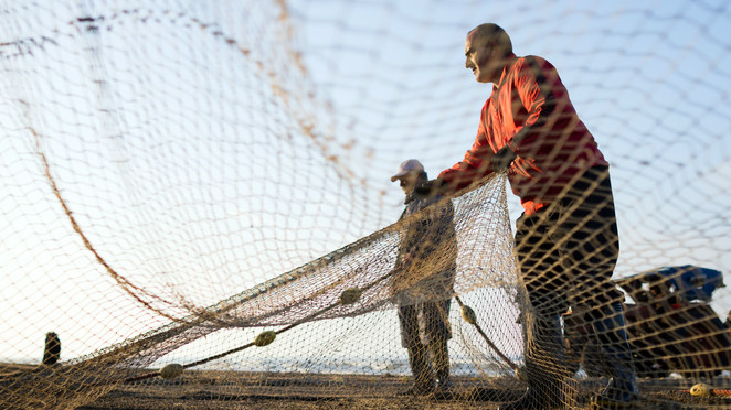 Ingyen osztják a halat most szombaton a Tiszánál: 5 kilót bárki hazavihet