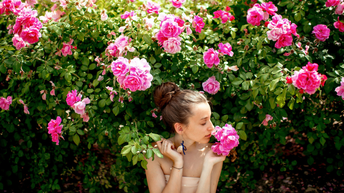 Csodájára járnak:  ismét virágba borul az egykori vidéki luxuskastély rózsakertje