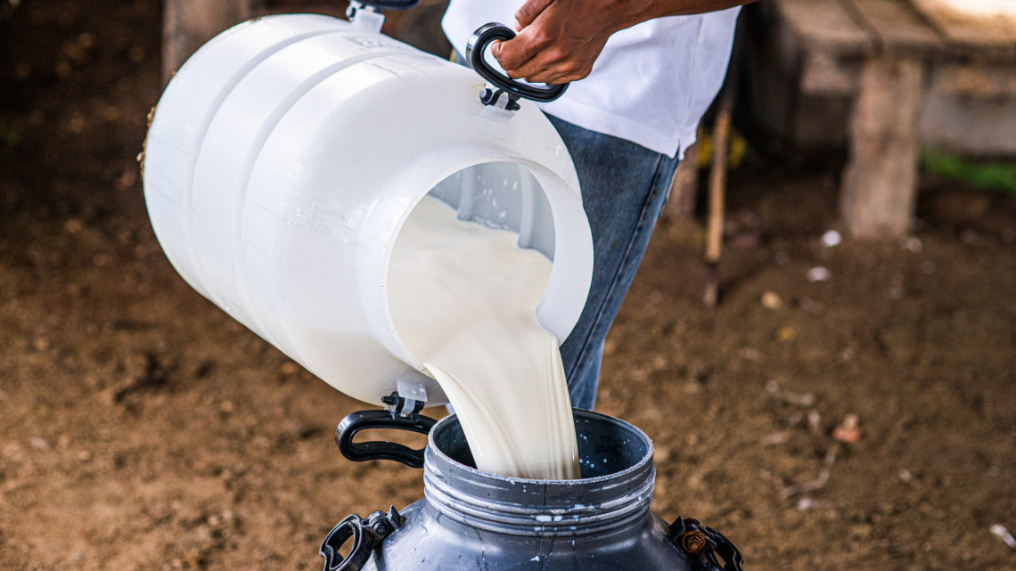 Elképesztő akció: ezer liter tejet loptak egy tartálykocsiból a tolvajok