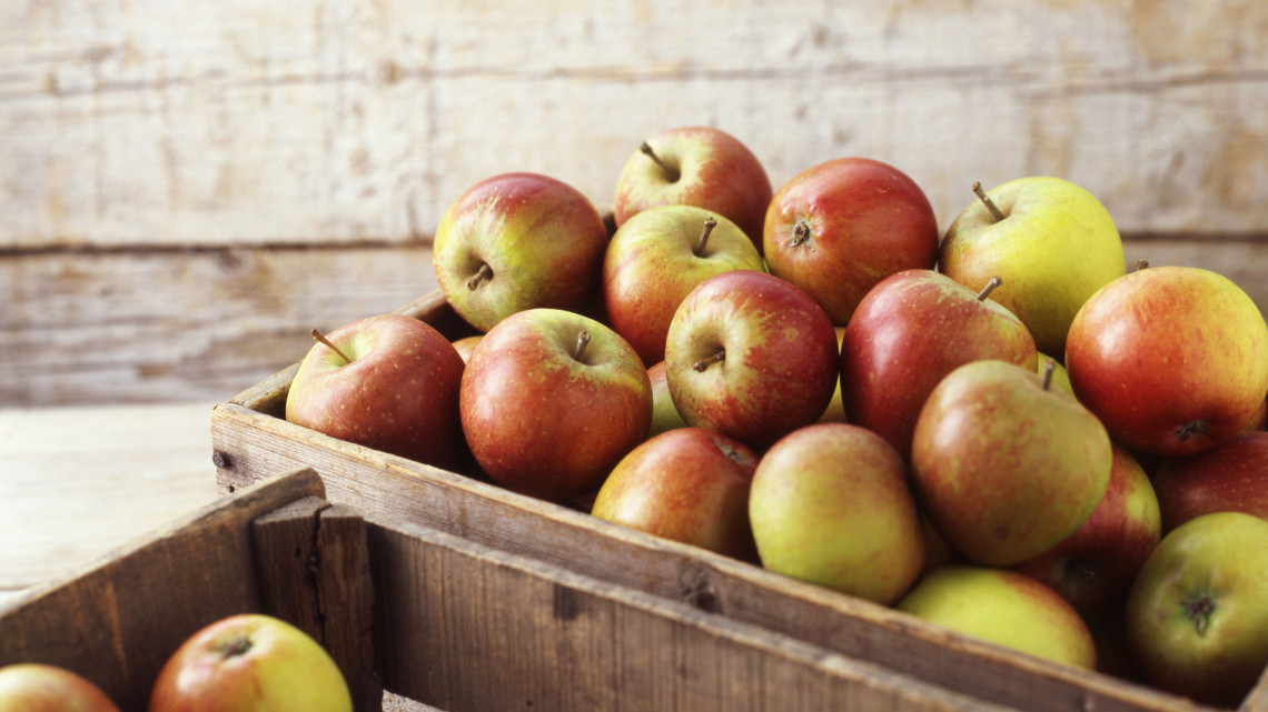 Dübörög a vidékfejlesztés: az almán van a sor, több kell belőle a piacokra