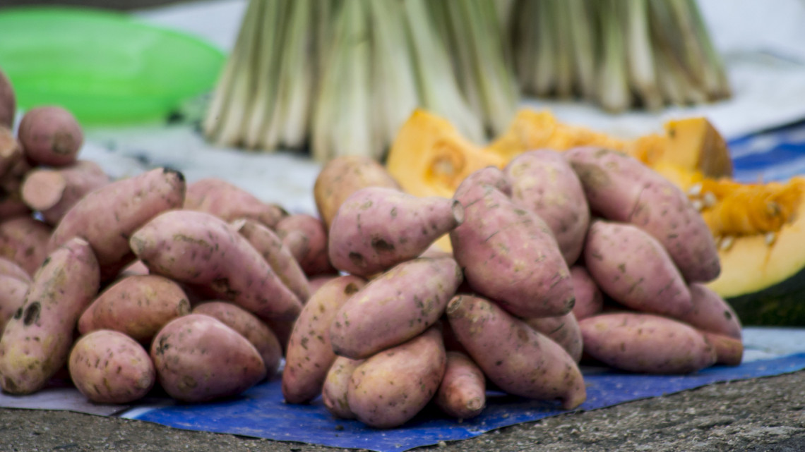 Magyar kertek legújabb szuperzöldsége: hiába drágább, lassan kelendőbb, mint a krumpli?