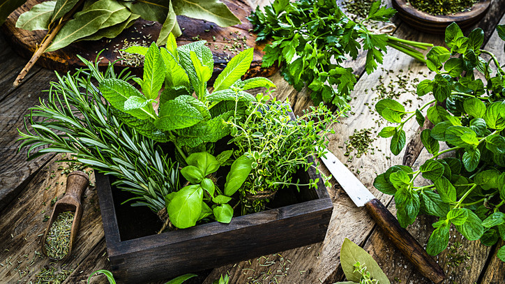 Felpörgött a fűszernövény biznisz: ezeket otthon, fillérekből te is termesztheted