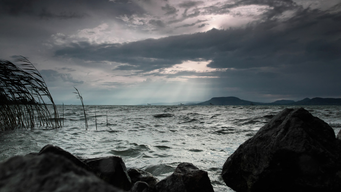 Érik a katasztrófa a Balatonnál: veszélyben az állatvilág és az idei strandszezon?