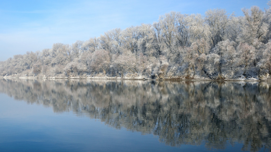 Súlyos a helyzet a Tisza-tónál: süllők tömegei pusztultak el a vízben, ez lehet az ok