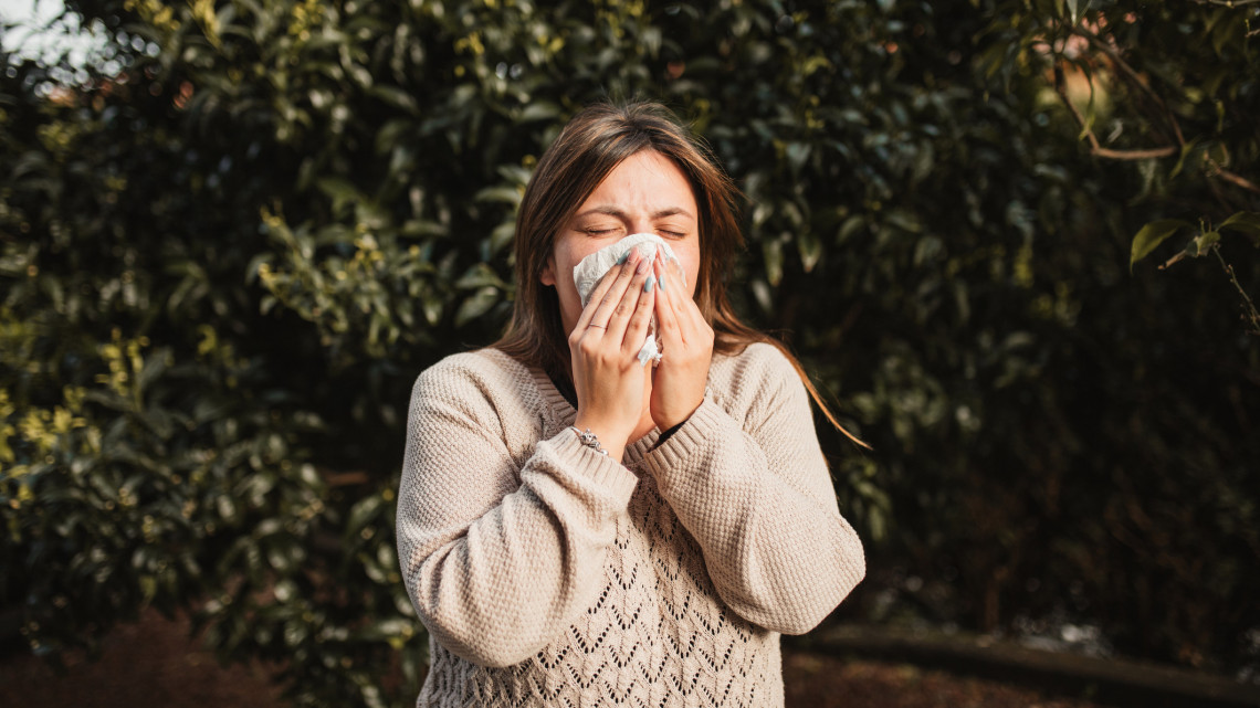 Nem tágít a pollenszezon: allergiás tüneteket okozhatnak a pázsitfűfélék