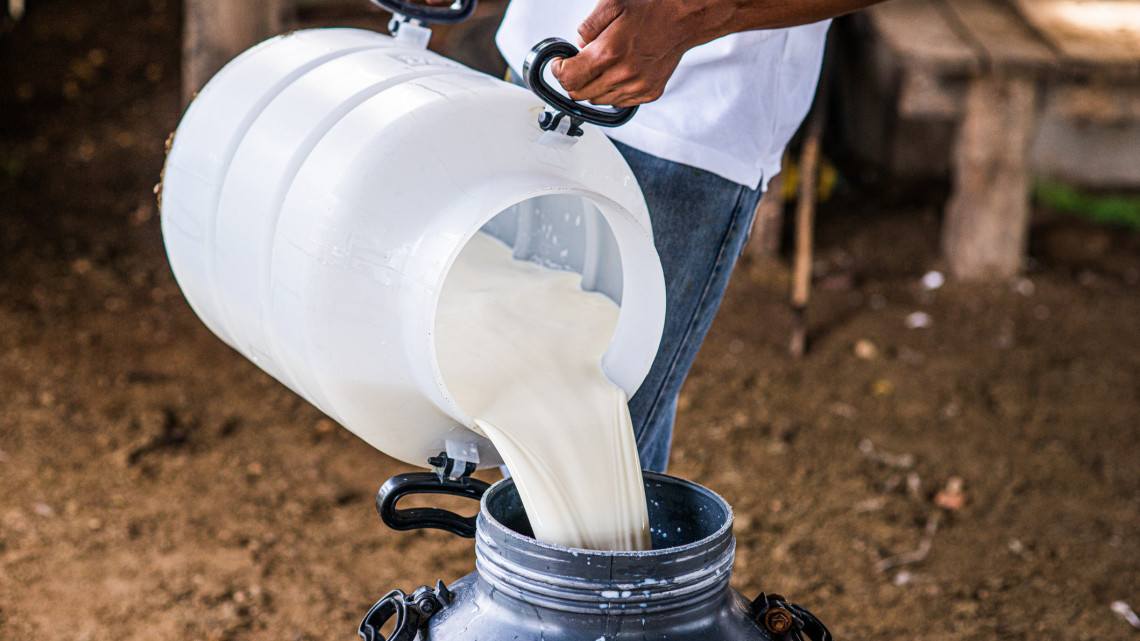Több ezer forint is lehet literje ennek a tejnek: valóban megéri fogyasztani?