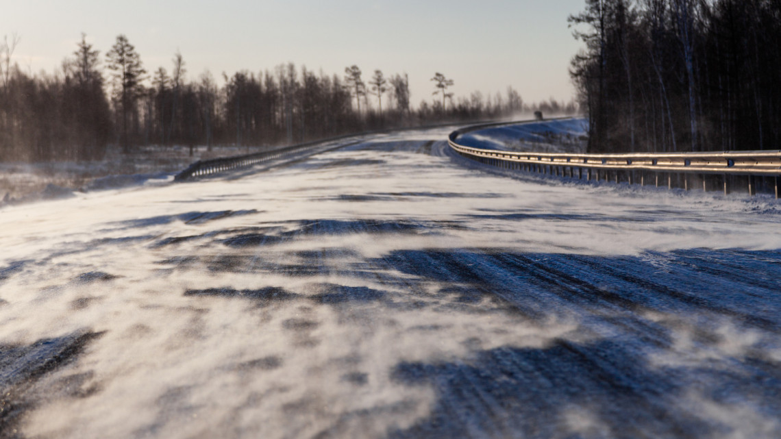 Elképesztő, mi zajlik télen a magyar utakon: míg mi alszunk, a szarvasok ezt csinálják + Fotó