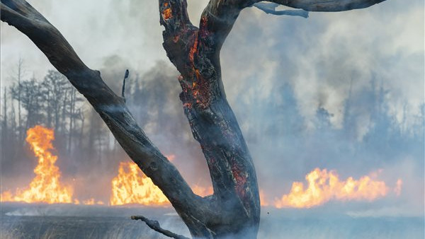 Szörnyű pusztítás végzett a tűz: óriási terület égett le a Kis-Balatonnál + Videó