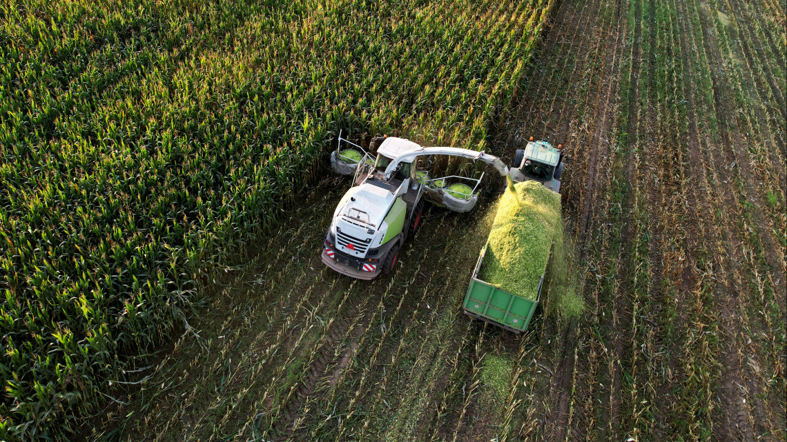Komoly gondokat okozhat az ukrán termény kiesése: beüthet a kukorica-krízis?