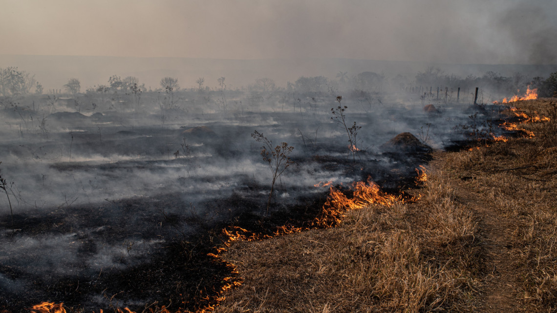 Szörnyű pusztítást végzett a tűz: lángolt a Hortobágy, 180 hektáron égett a puszta