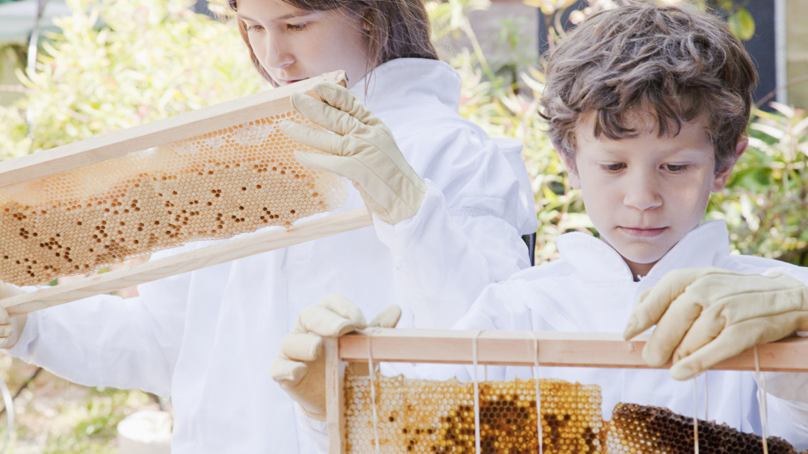 A legkisebbeket is bevonták a méhek megmentésébe: Rúzsa Magdi is ott volt a zsűriben