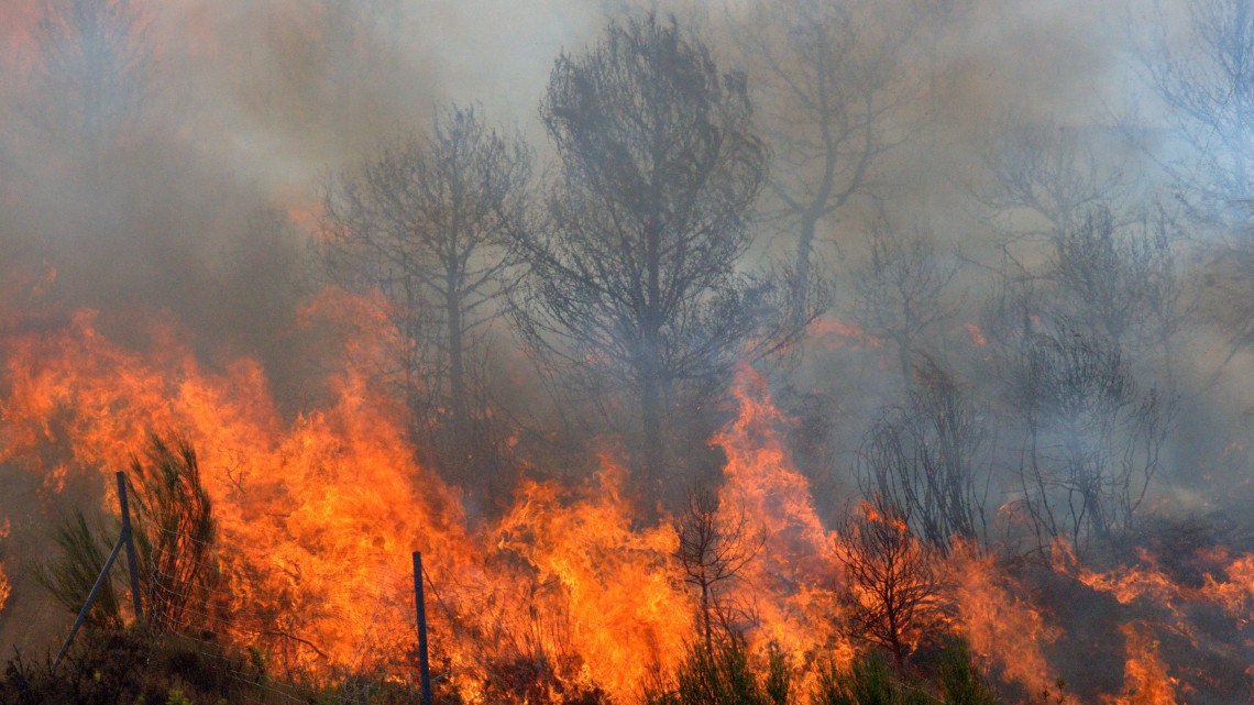 Brutális tüzek pusztítottak országszerte: rengeteg munkája volt a tűzoltóknak tegnap