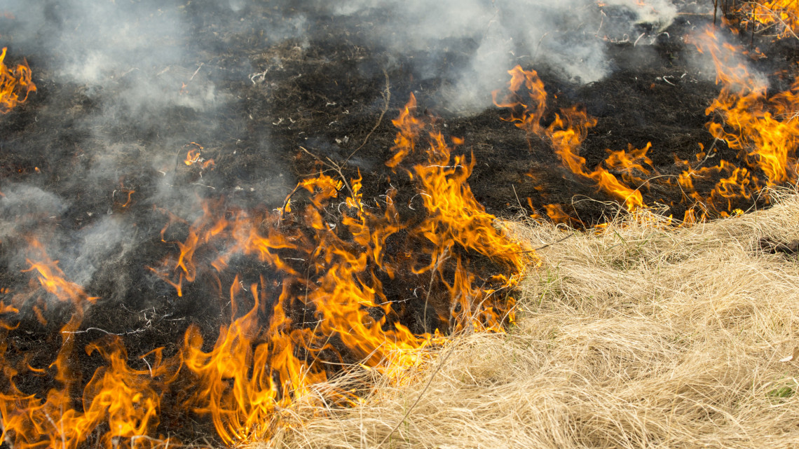 Tűz pusztít a Hortobágyon: 200 hektáron lángol a növényzet, elviselhetetlen az aszály