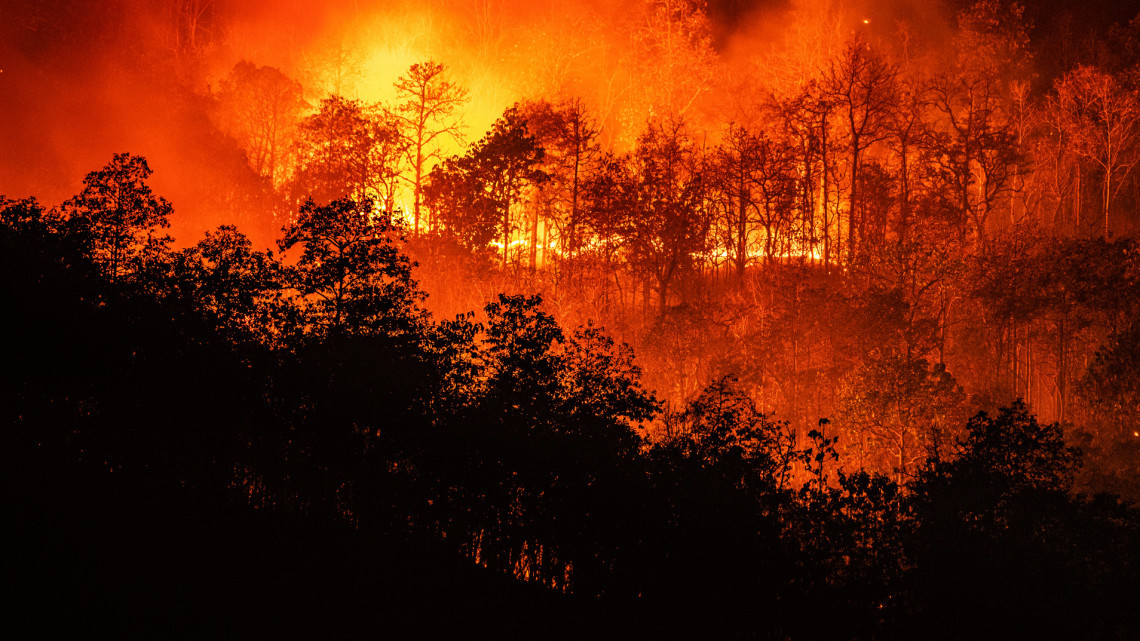 Brutális erdőtűz tombol Kiskunhalason: több mint száz tűzoltó oltja a lángokat