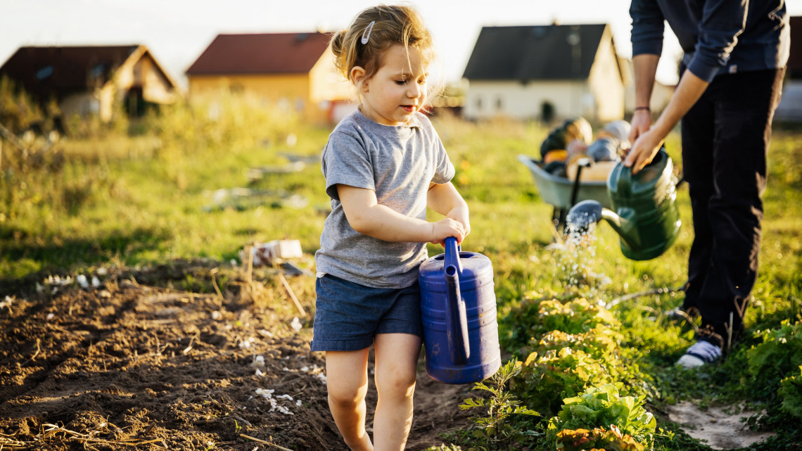 Ingyen locsolhatod a kerted 2022-ben: ezzel a módszerrel akkor is, ha épp vízkorlátozás van