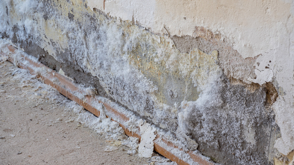 Hatalmas kárt okoz a házakban: így szüntethető meg kedvező áron a falak vizesedése