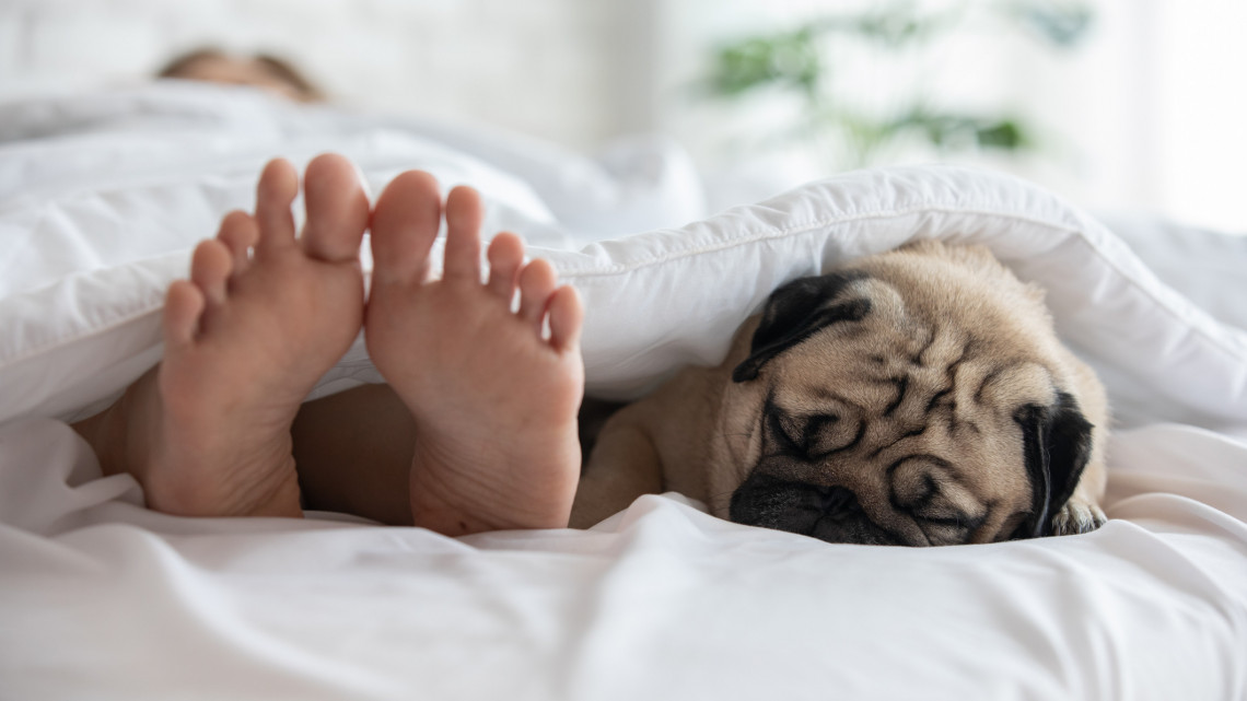 Te is gyakran rosszul alszol? 6+1 tipp, hogy a nyári hőségben se forgolódjunk álmatlanul