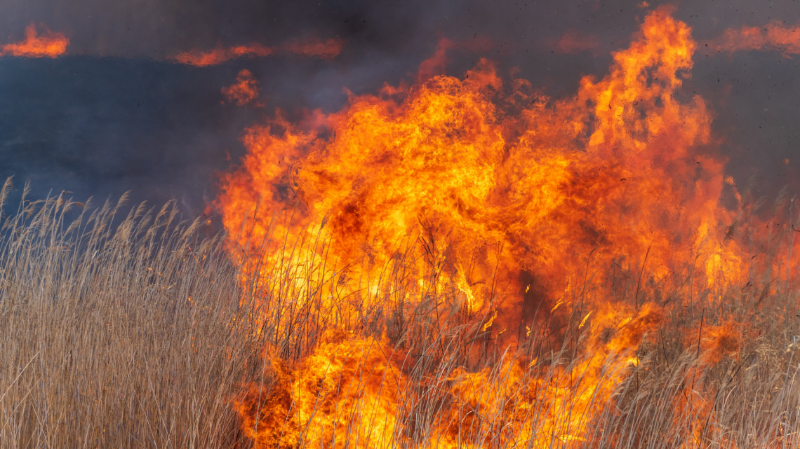 Lángol a nádas Fertőrákos közelében: kritikus a helyzet, 16 település tűzoltói oltják a tüzet