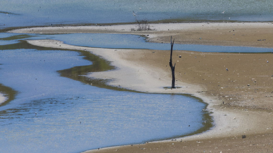 Hatalmas veszélyben van a Fertő-tó: teljesen ki is száradhat