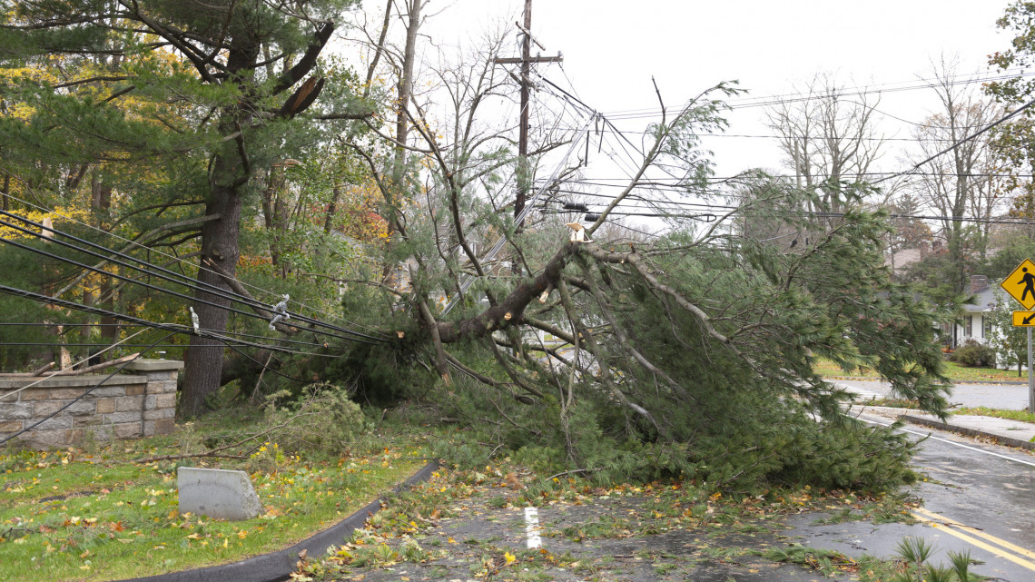 Döbbenetes károkat okozott a tegnapi vihar: fákat csavart ki, villanyoszlopokat döntött
