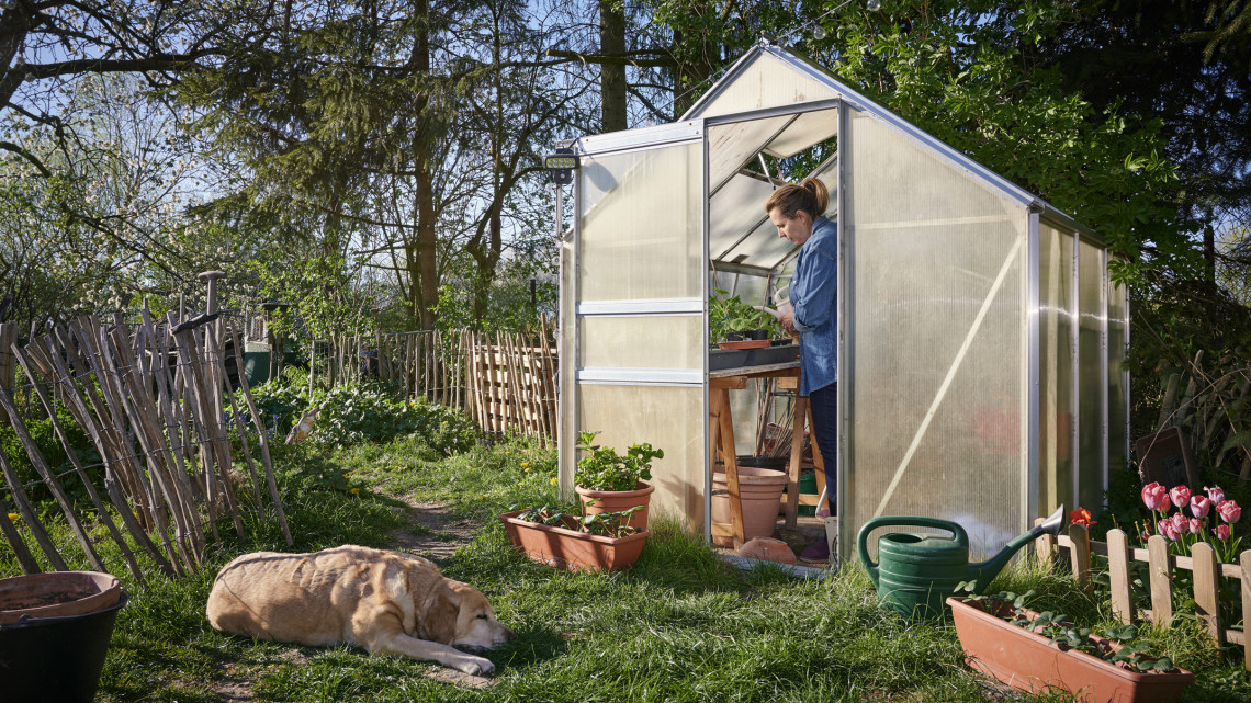 Ilyen luxus üvegházakat épít a kertbe a vidéki elit: vajon tényleg megér több milliót?