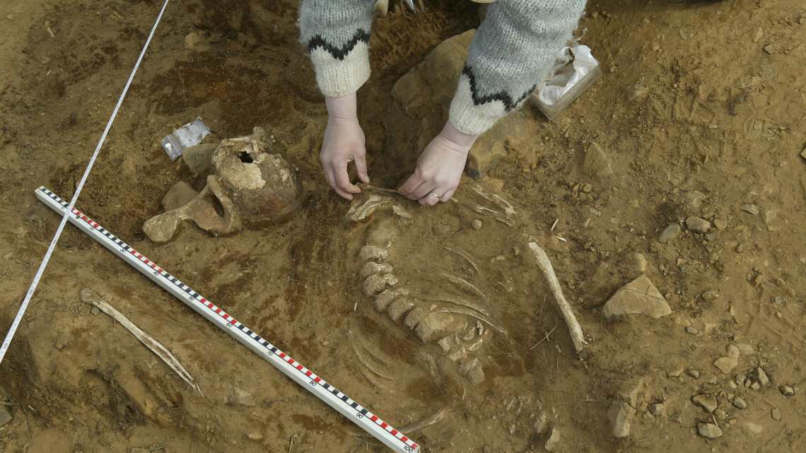 Elképesztő római kori leletet találtak a vidéki ásatáson: hamarosan a turisták is láthatják