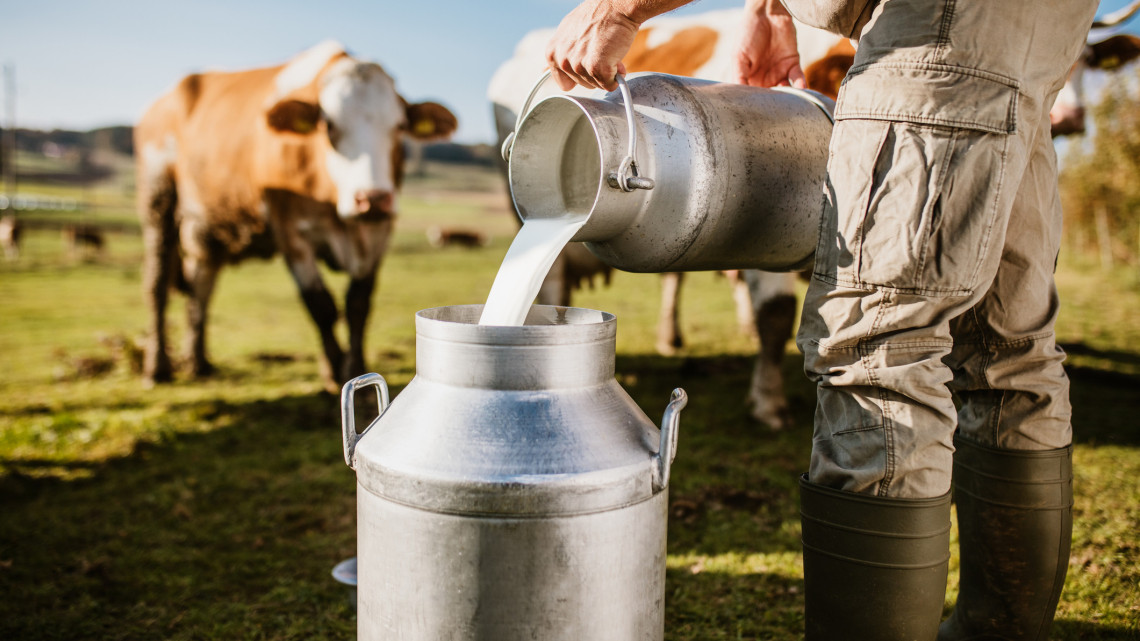 Elöntik a hazai piacot az import tejtermékek: riadót fújtak a hazai termelők