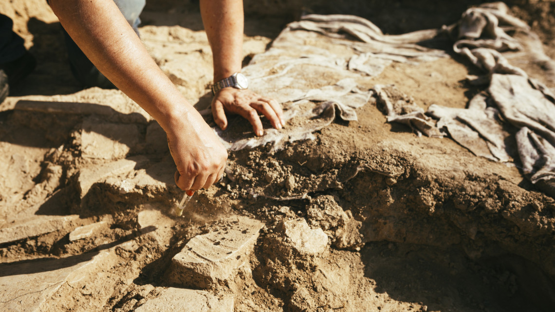 Nem hétköznapi felfedezés: többszáz éves leleteket találtak a somogyi falu határában