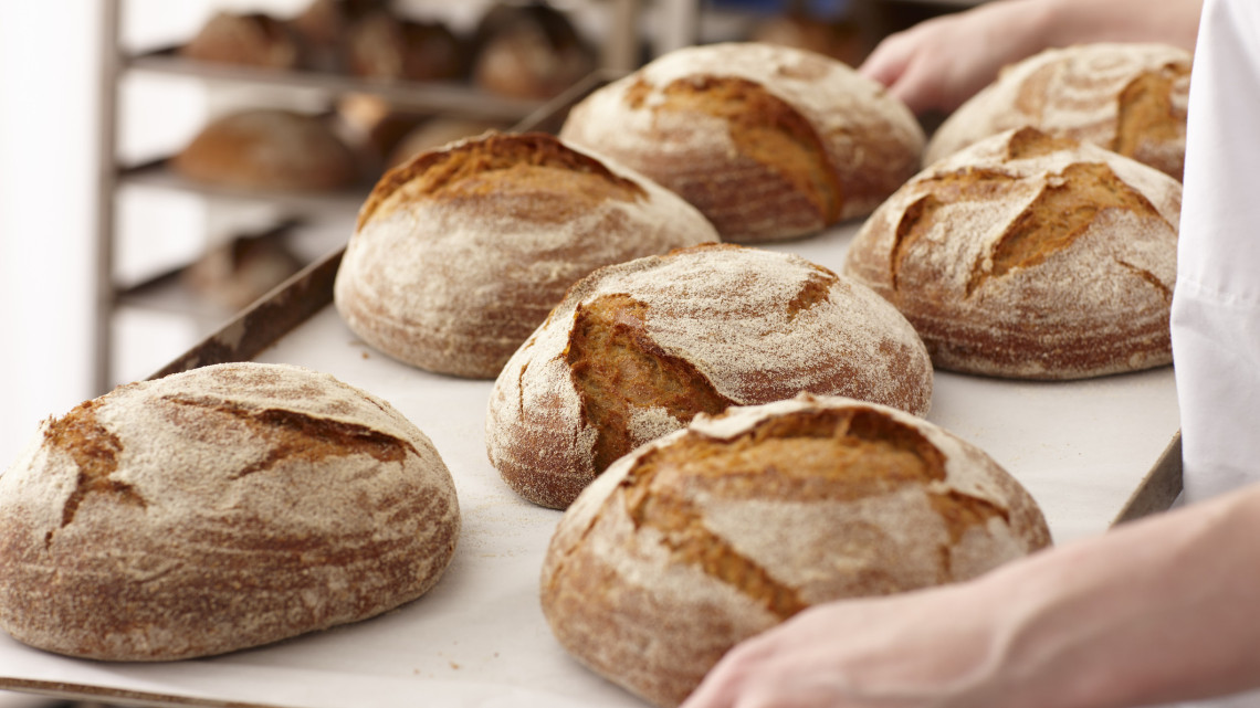 Ilyen kenyeret süt a mesterséges intelligencia: ebben a hazai pékségben te is megkóstolhatod