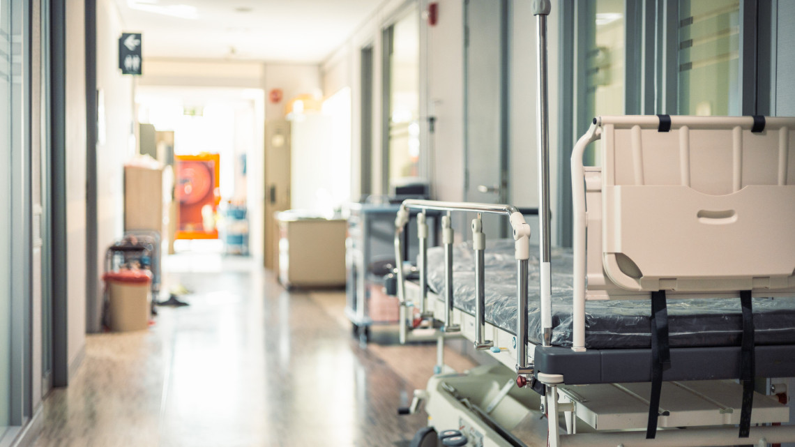 Nem mindennapi látvány a dunaújvárosi kórházban: erre nem sok látogató számított