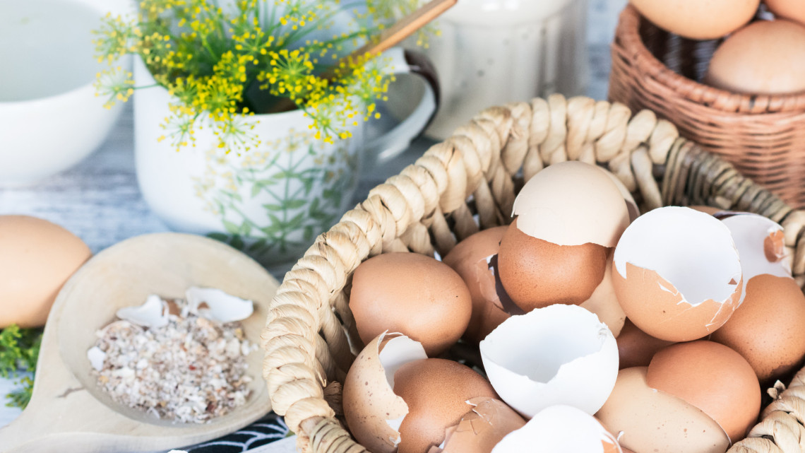 Bűn kidobni a tojás héját: hihetetlen gyógyító erő lakozik benne, így fogyaszd