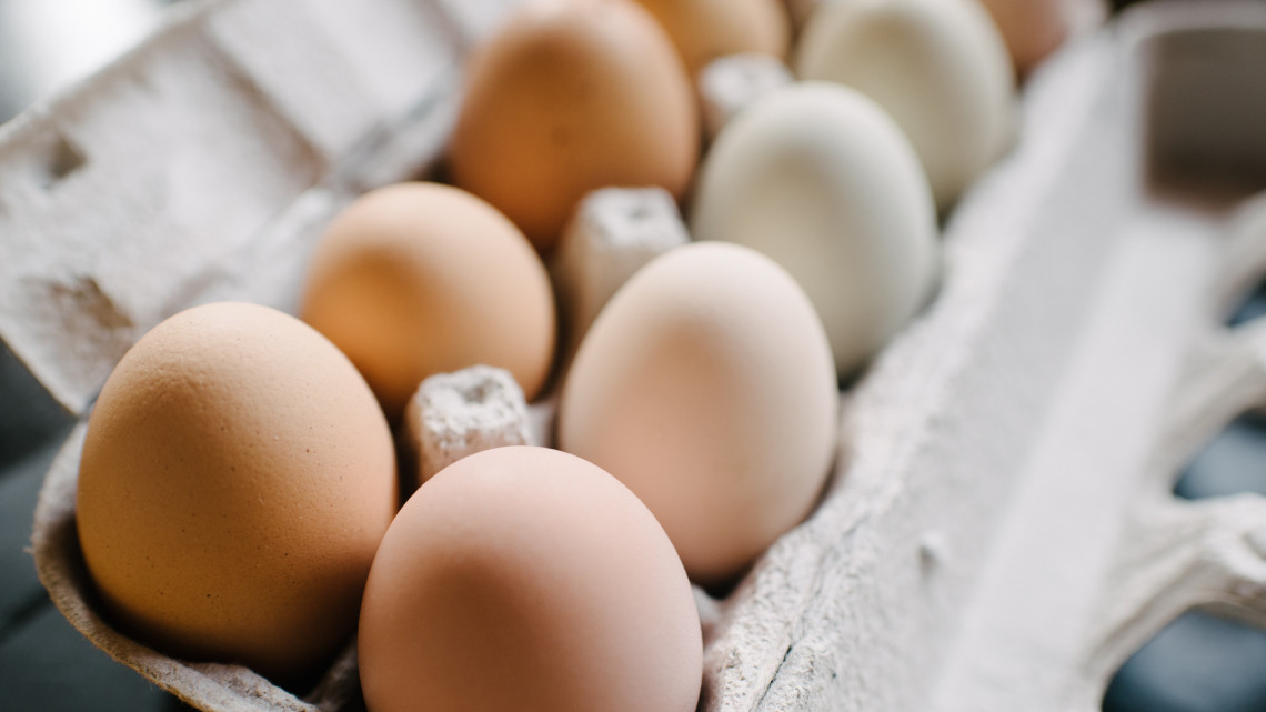 Megnyomták a vészcsengőt a tojástermelők: ezt jobb, ha mindenki tudja