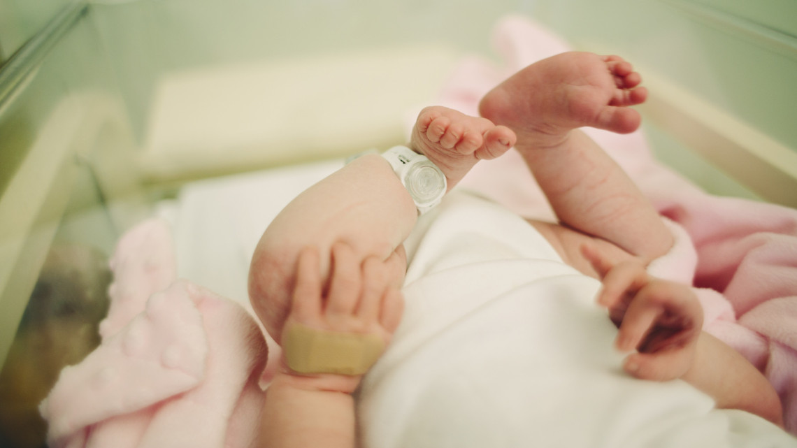Újabb SMA-s újszülöttet találtak Szegeden: életek múlhatnak a betegség korai felismerésén