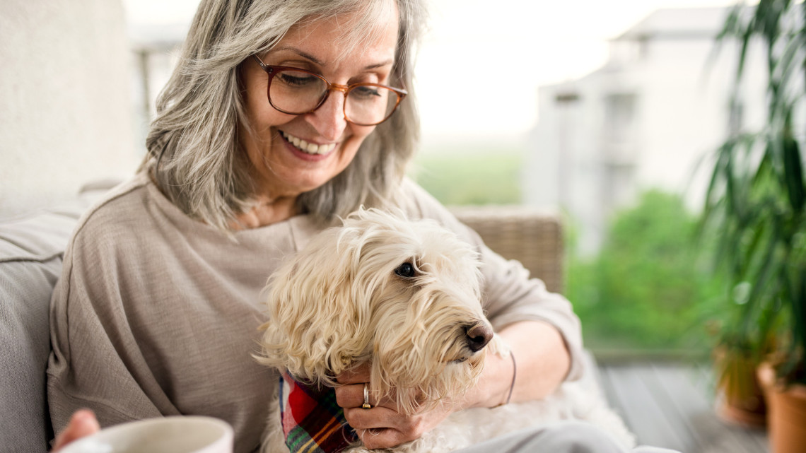 Így készüljünk fel az időskorra: 5 kutyafajta, aki remek társ lehet a nyugdíjas éveinkre